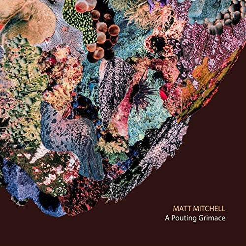 Matt Mitchell - A Pouting Grimace [CD]