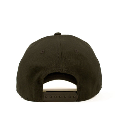 NASA Hat