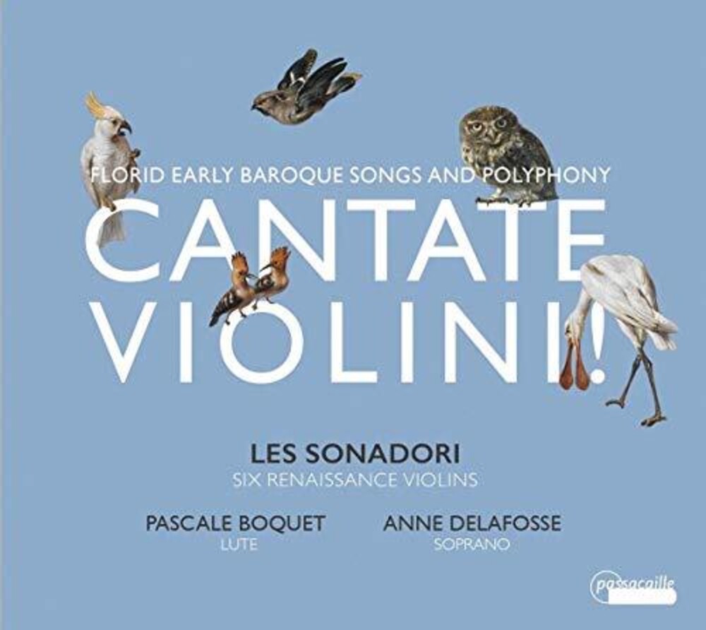 Cantate Violini / Various - Cantate Violini [CD]