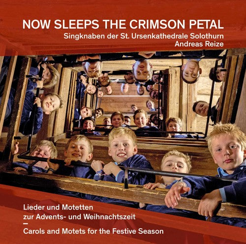 Antognini - Now Sleeps the Crimson Petal [CD]