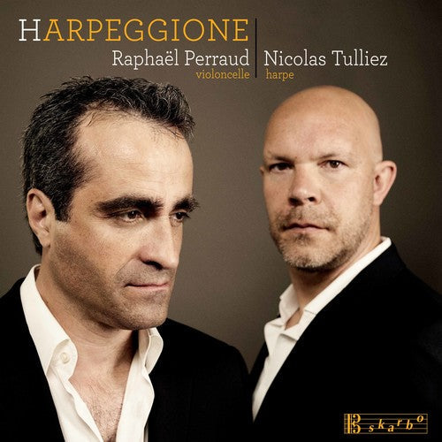 Bloch / Tulliez / Perraud - Harpeggione [CD]