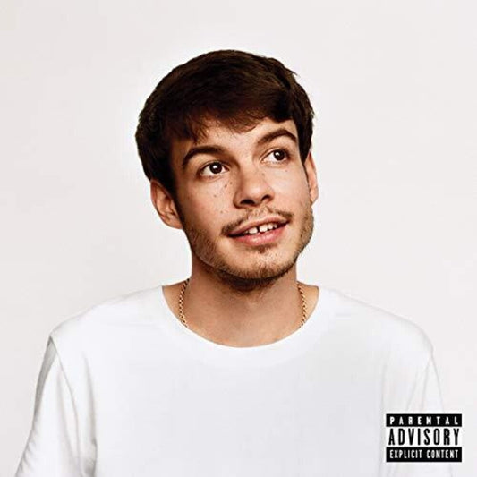 Rex Orange County - Pony [LP] Vinyl Record