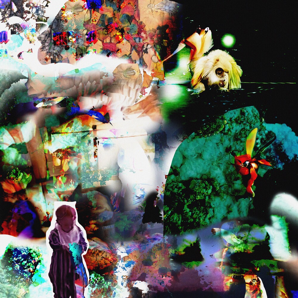 Acidhead - Distractions [LP] Vinyl Record