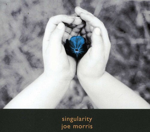 Joe Morris - Singularity [CD]