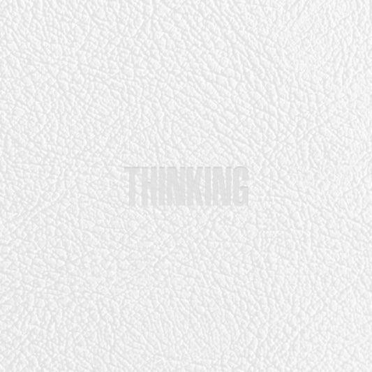 Zico - Thinking (incl. 112pg Phootbook, 2 x Postcard + 2 x Sticker) [CD]