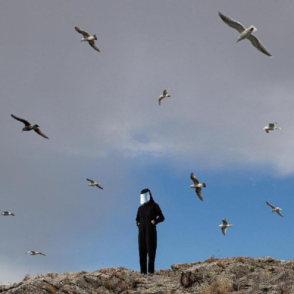 Hamerkop - Remote [LP] Vinyl Record