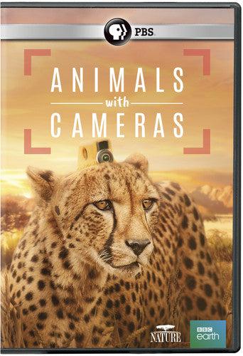 Nature: Animals With Cameras - Nature: Animals With Cameras - DVD