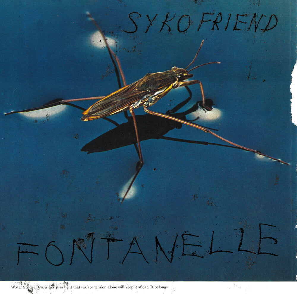 Syko Friend - Fontanelle [LP] Vinyl Record