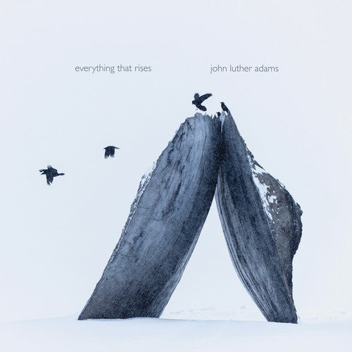 JACK Quartet - Everything That Rises [CD]