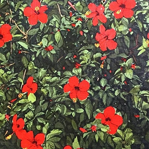 Real Live Tigers - Denatured [LP] Vinyl Record