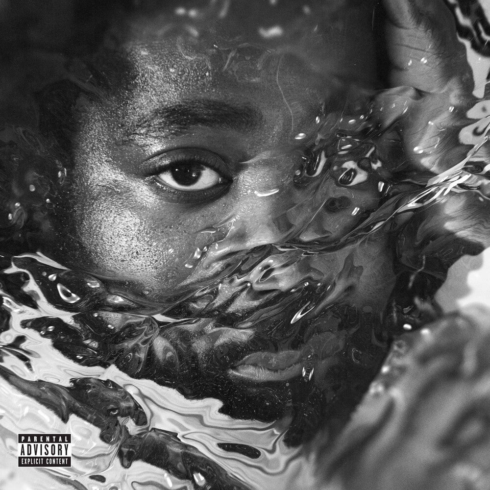 R.Lum.R - Surfacing [LP] Vinyl Record