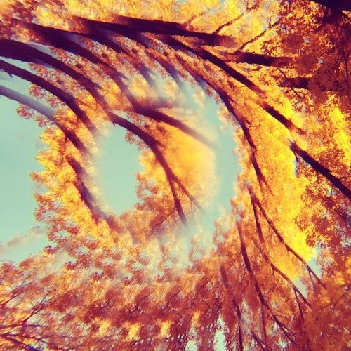 Hawk & A Hacksaw - Forest Bathing [LP] Vinyl Record