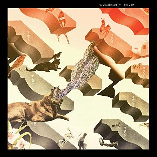 I'm Kingfisher - Transit [LP] Vinyl Record