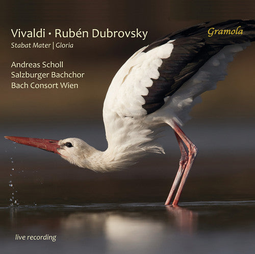 Vivaldi / Herfurtner / Bachchor - Stabat Mater / Gloria [CD]
