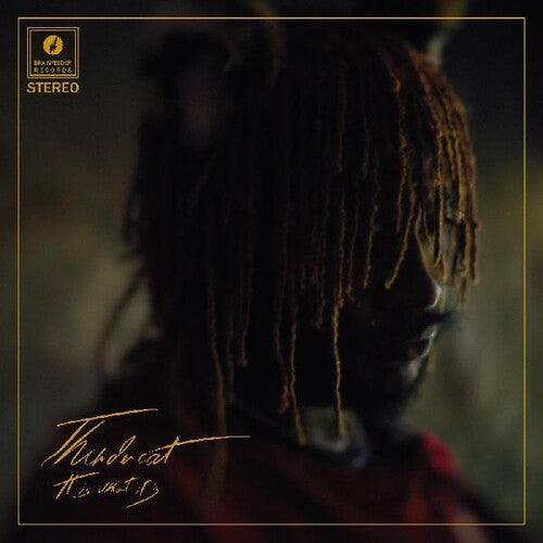Thundercat - It Is What It Is - Vinyl Record