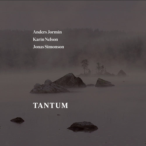 J Bach S / Jormin / Simonson - Tantum [CD]
