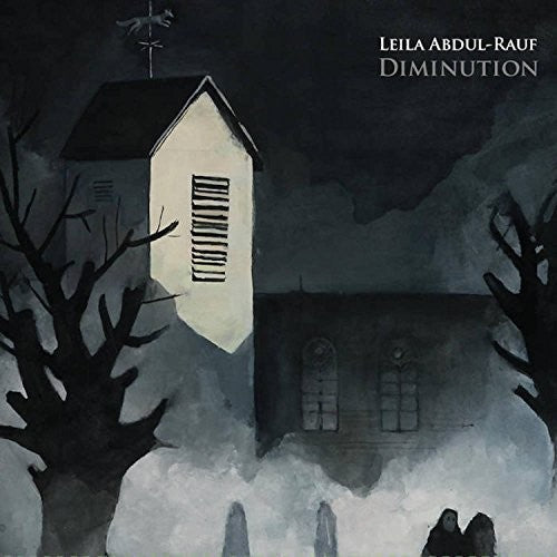 Abdul-Leila Rauf - Diminution Music CD
