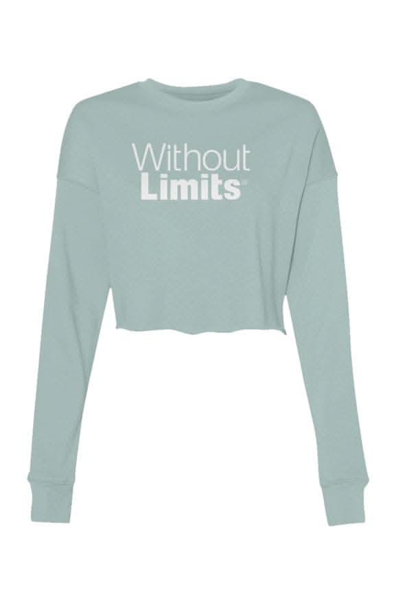 Sponge Fleece Cropped Crew