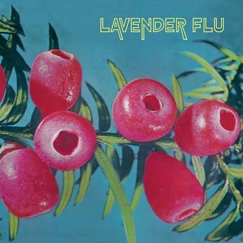 Lavender Flu - Mow The Glass Music CD