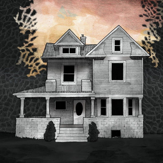Alison Chesley / Albini,Steve / Midyett,Tim - Girl on the Third Floor (Music From the Film) [LP] Vinyl Record
