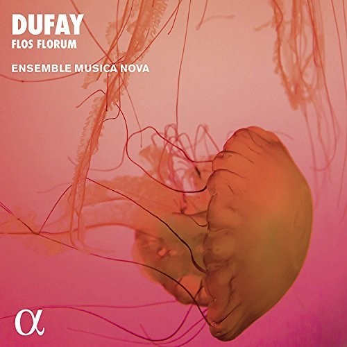Dufay / Ensemble Musica Nova - Flos Florum Music CD