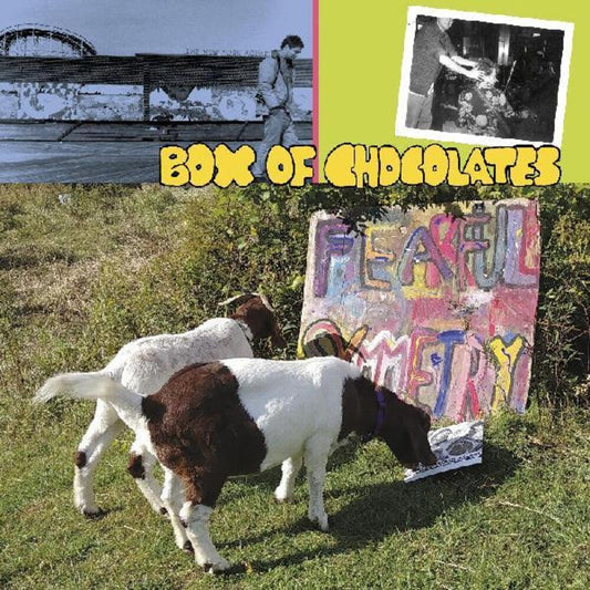 Box of Chocolates - Fearful Symmetry [LP] Vinyl Record