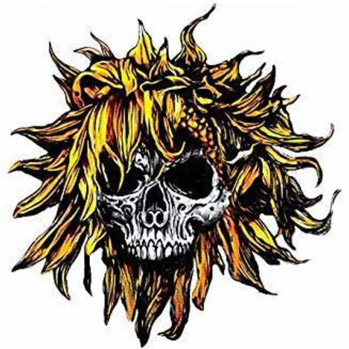 Sunflower Dead - C.O.M.A. [CD]