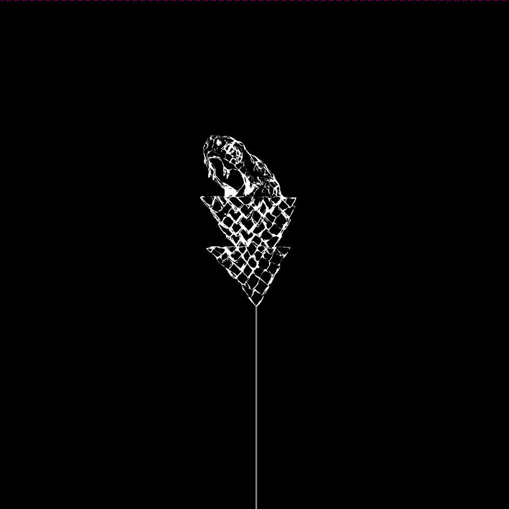 Wetware - Flail [LP] Vinyl Record