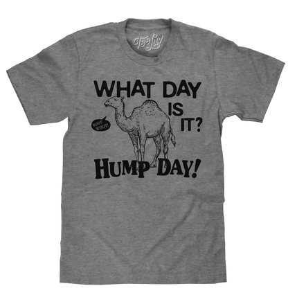 What Day Is It? Hump Day Camel T-Shirt - Gray