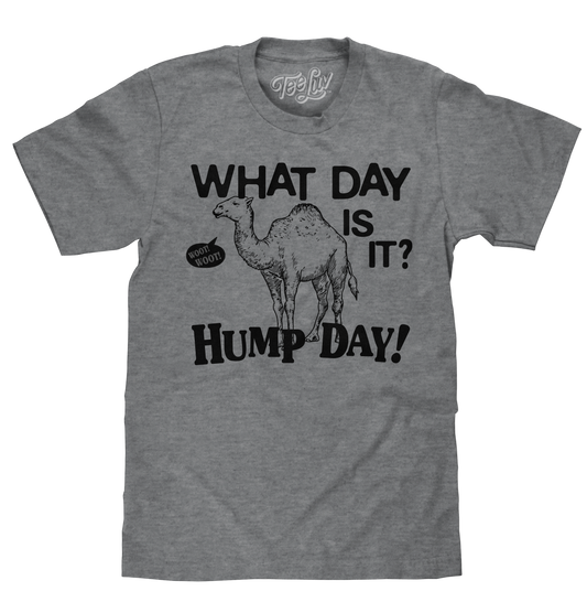 What Day Is It? Hump Day Camel T-Shirt - Gray