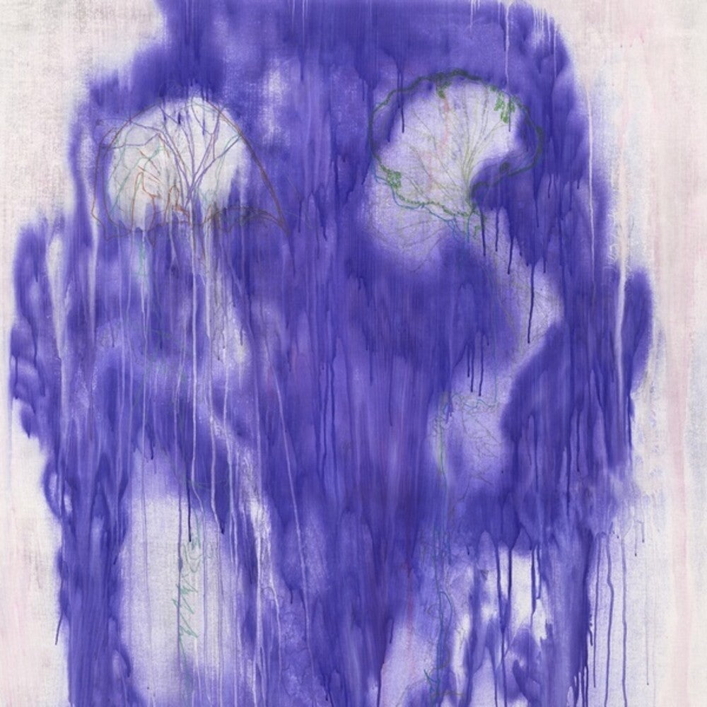 Kassel Jaeger - Swamp / Things [LP] Vinyl Record