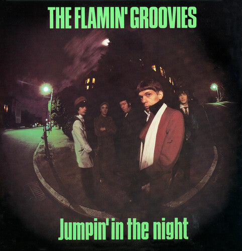 Flamin' Groovies - Jumpin' In The Night - Music CD