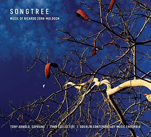 Muldoon / Brown - Songtree Music CD