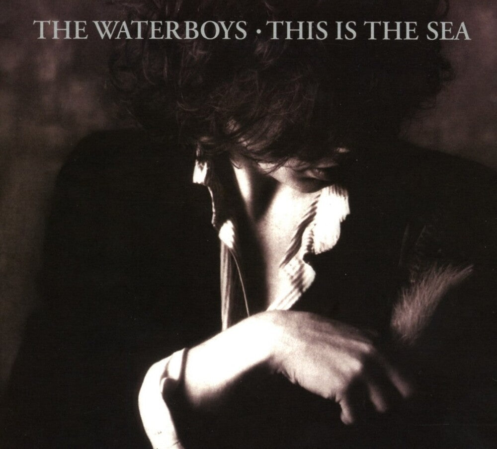 The Waterboys - This Is The Sea: Collectors Edition [Import]