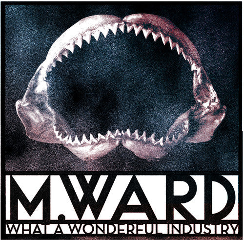 M. Ward - What a Wonderful Industry Music CD
