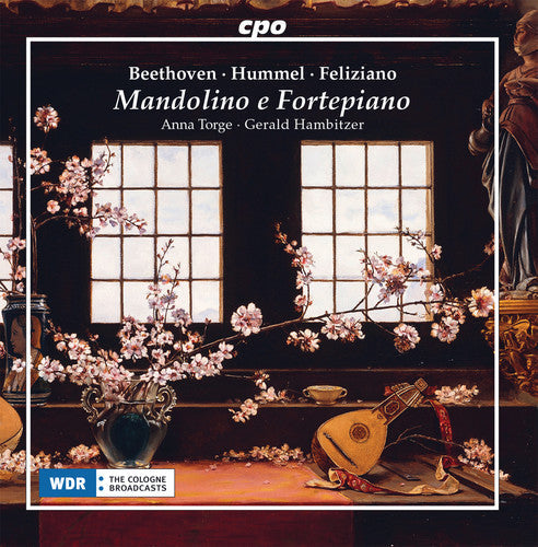 Beethoven / Torge / Hambitzer - Mandolino E Fortepiano [CD]