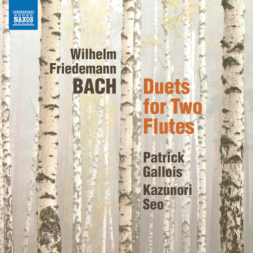 Gallois / Seo - Duets for 2 Flutes [CD]