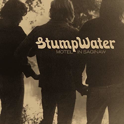 Stumpwater - Motel In Saginaw - Vinyl Record