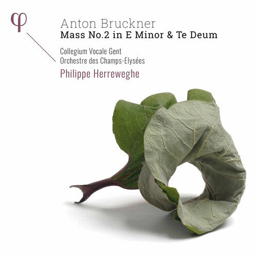 Bruckner / Collegium Vocale Gent / Herreweghe - Mass 2 In E Minor - Music CD
