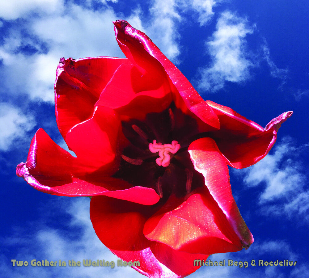 Hans Roedelius -Joachim / Begg,Michael - Two Gather In The Waiting Room [CD]