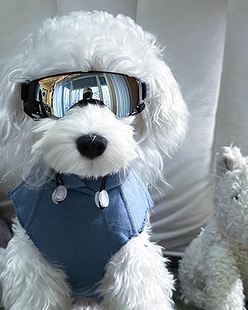 Dog goggle space style for Small Dog