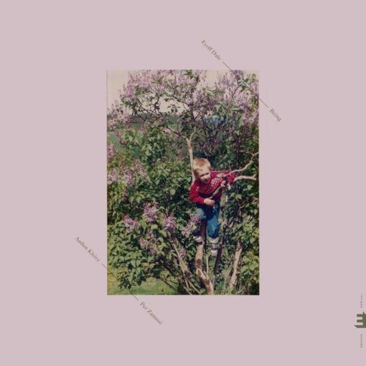 Eyolf Dale - Being [CD]