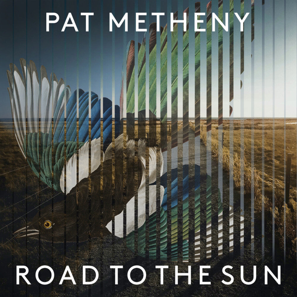 Pat Metheny - Road To The Sun [CD]