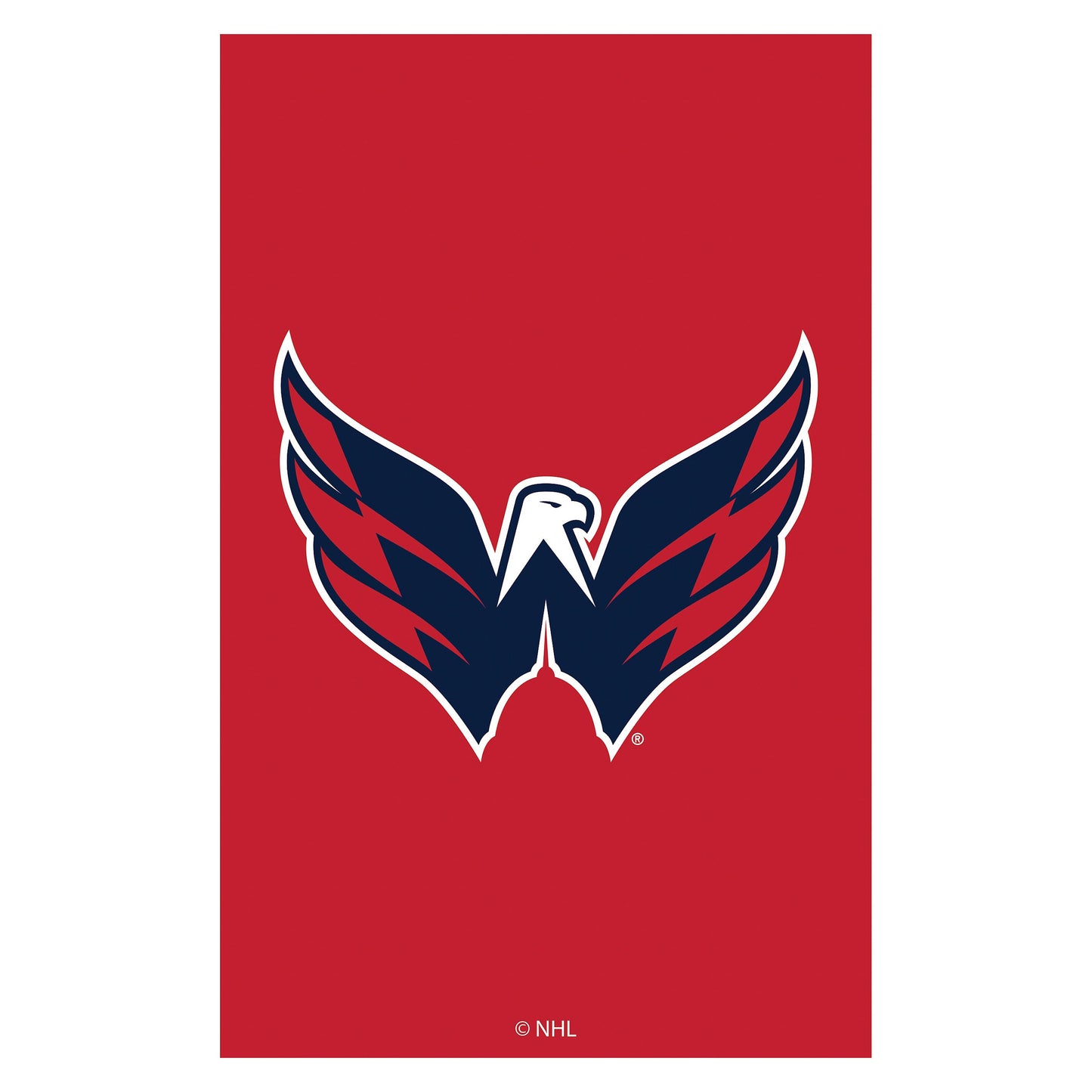 Applique Flag, Gar., Washington Capitals