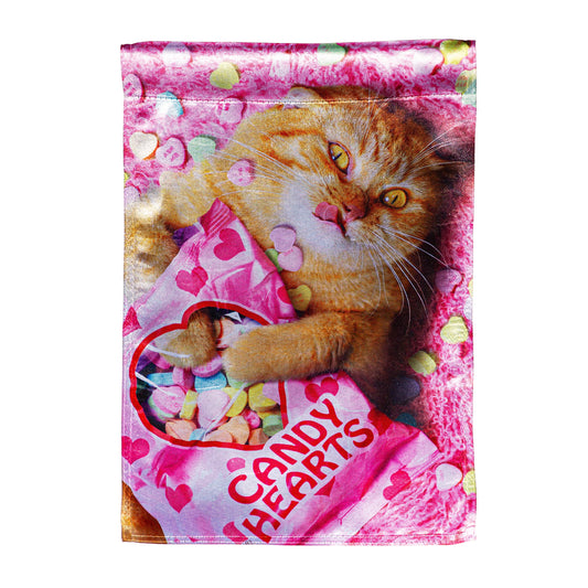 Cat With Candy Heart Lustre Garden Flag