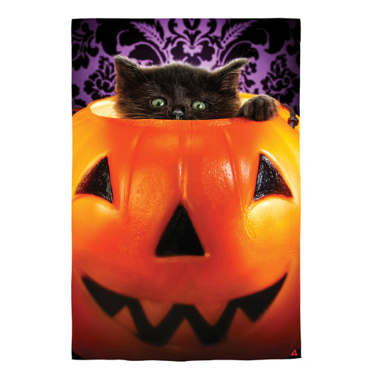 Kitten in Jack O'Lantern Pumpkin Bucket Lustre House Flag