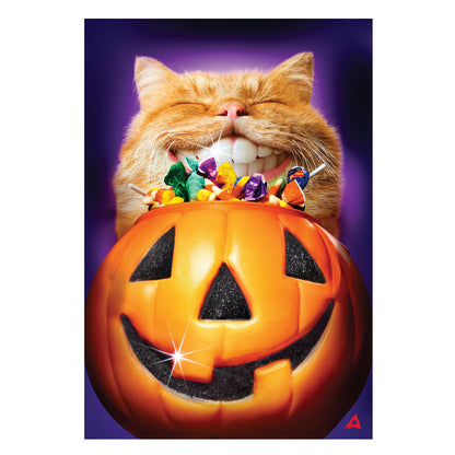 Cat Jack O'Lantern Pumpkin Teeth Suede House Flag