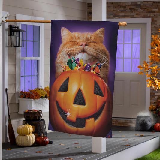 Cat Jack O'Lantern Pumpkin Teeth Suede House Flag