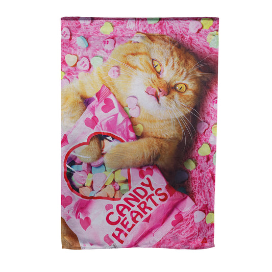 Cat With Candy Heart Lustre House Flag