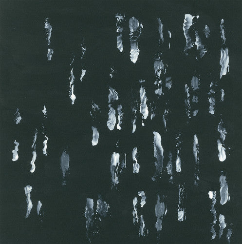 Sightings - Amusers and Puzzlers [LP] Vinyl Record